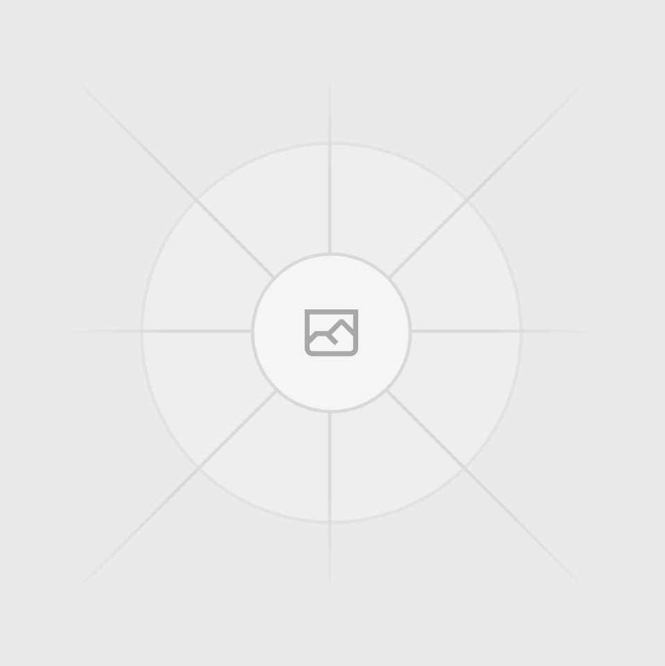 Audio to text feature placeholder